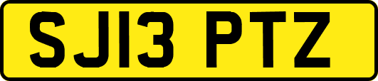 SJ13PTZ