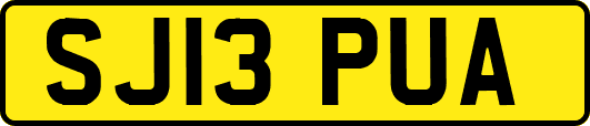 SJ13PUA