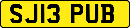 SJ13PUB