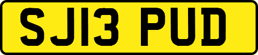 SJ13PUD