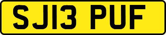 SJ13PUF