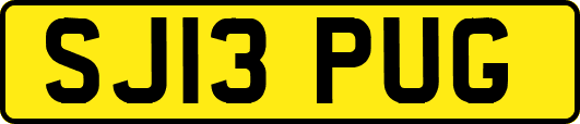 SJ13PUG