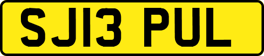 SJ13PUL