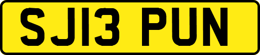 SJ13PUN