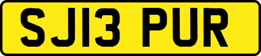 SJ13PUR