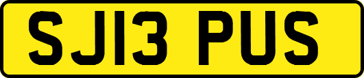 SJ13PUS