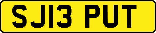 SJ13PUT