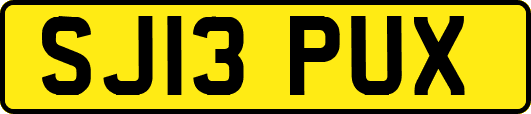 SJ13PUX