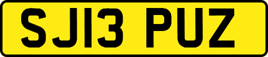 SJ13PUZ