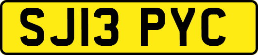 SJ13PYC