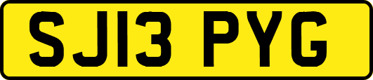 SJ13PYG