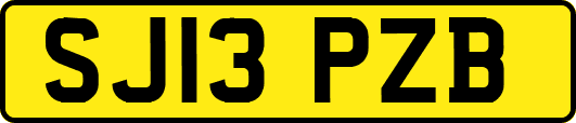 SJ13PZB