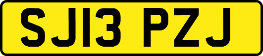 SJ13PZJ