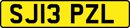 SJ13PZL