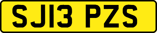 SJ13PZS