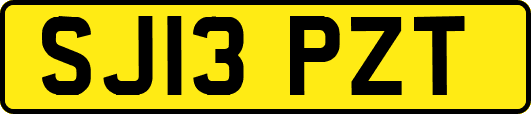 SJ13PZT