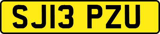 SJ13PZU