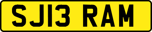 SJ13RAM