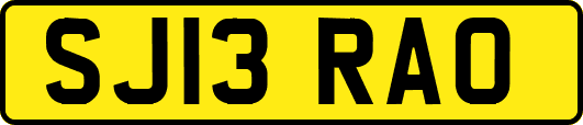 SJ13RAO