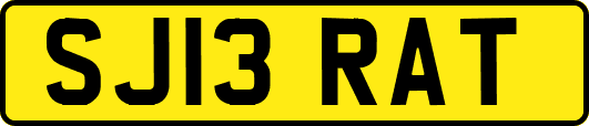 SJ13RAT