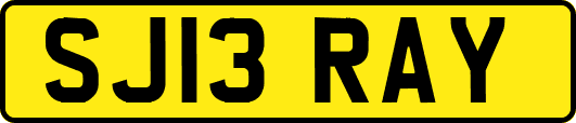 SJ13RAY