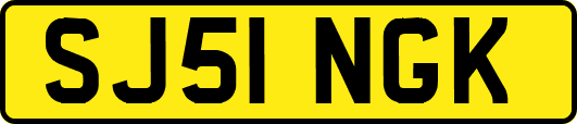 SJ51NGK