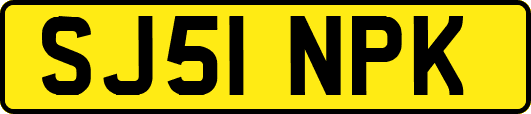 SJ51NPK