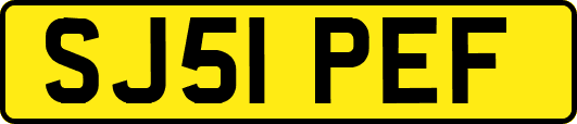 SJ51PEF