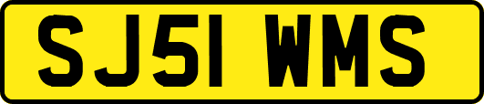 SJ51WMS