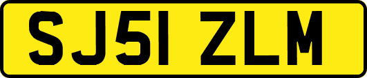SJ51ZLM