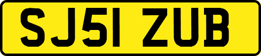 SJ51ZUB