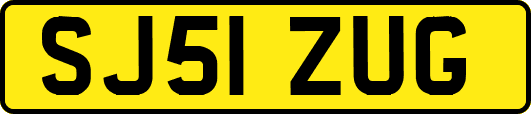 SJ51ZUG