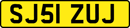 SJ51ZUJ