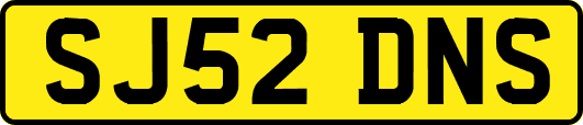 SJ52DNS