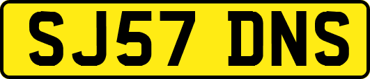 SJ57DNS