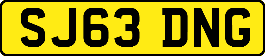 SJ63DNG