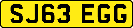 SJ63EGG