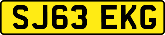 SJ63EKG