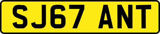 SJ67ANT