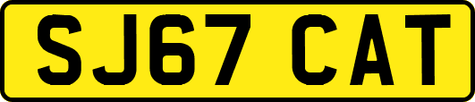 SJ67CAT