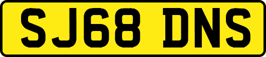SJ68DNS