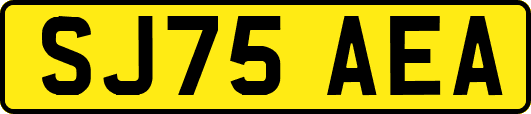 SJ75AEA