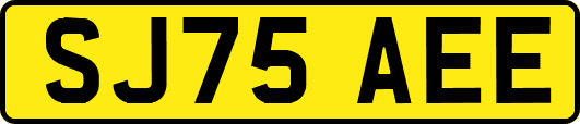 SJ75AEE