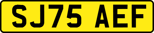 SJ75AEF
