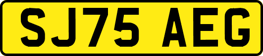 SJ75AEG