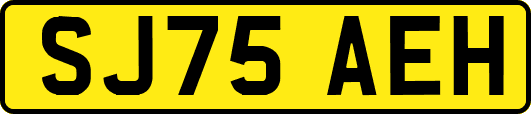 SJ75AEH