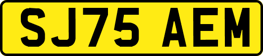 SJ75AEM