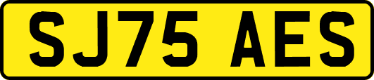 SJ75AES