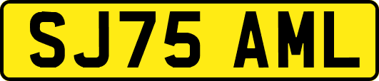SJ75AML