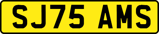 SJ75AMS